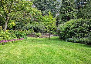 Optimiser l'expérience du jardin à Beaulieu-sur-Loire